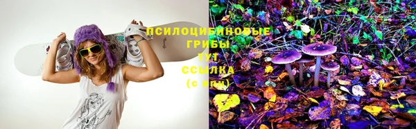 гашик Балабаново