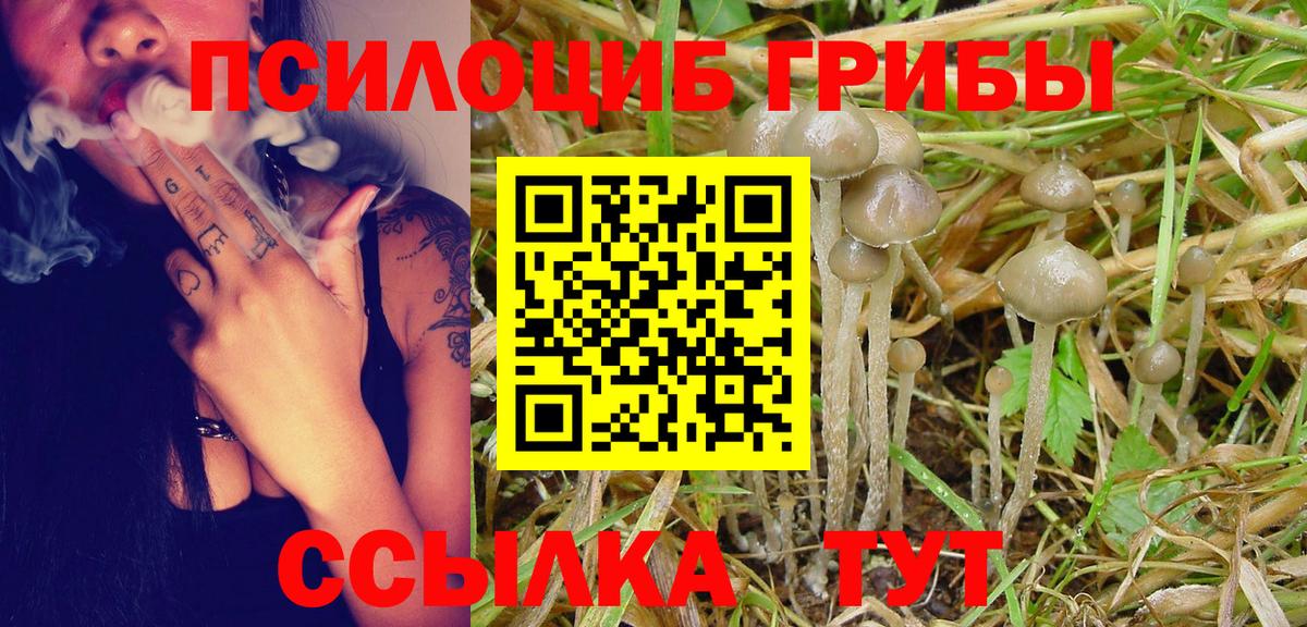 Галлюциногенные грибы Psilocybine cubensis  Псилоцибиновые грибы Psilocybe  Вход с VPN  Заречный 