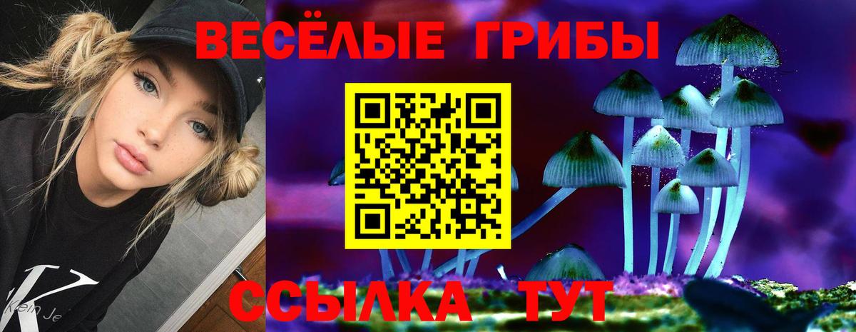 Галлюциногенные грибы Psilocybine cubensis Заречный